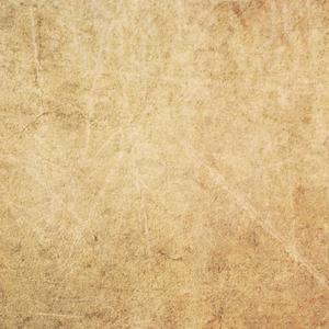 极品尤物网红自慰
